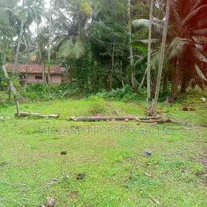 මිනුවන්ගොඩ පන්සිල්ගොඩ පර්චස් 10 ක බිම් කොටසක්