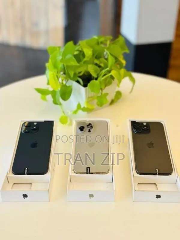 Apple iPhone 15 Pro Max 256GB (Used)