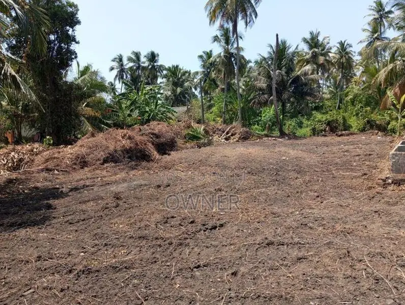 Negombo Lagoon Facing Valuable Land for Sale in Kepungoda Pamunugama