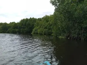 Negombo Lagoon Facing Valuable Land for Sale in Kepungoda Pamunugama