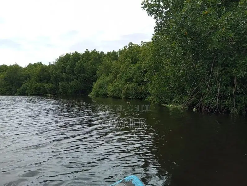 Negombo Lagoon Facing Valuable Land for Sale in Kepungoda Pamunugama