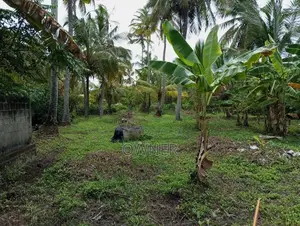 Negombo Lagoon Facing Valuable Land for Sale in Kepungoda Pamunugama