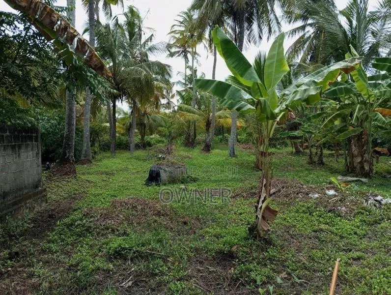 Negombo Lagoon Facing Valuable Land for Sale in Kepungoda Pamunugama