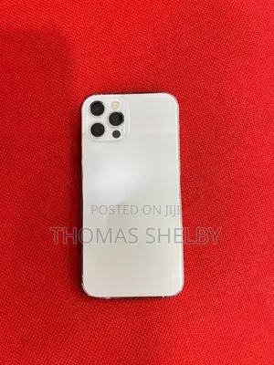 Apple iPhone 12 Pro 256GB (Used)