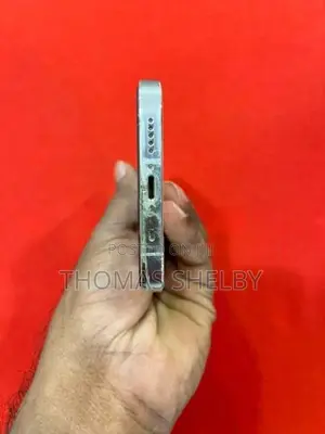 Apple iPhone 12 Pro 256GB (Used)