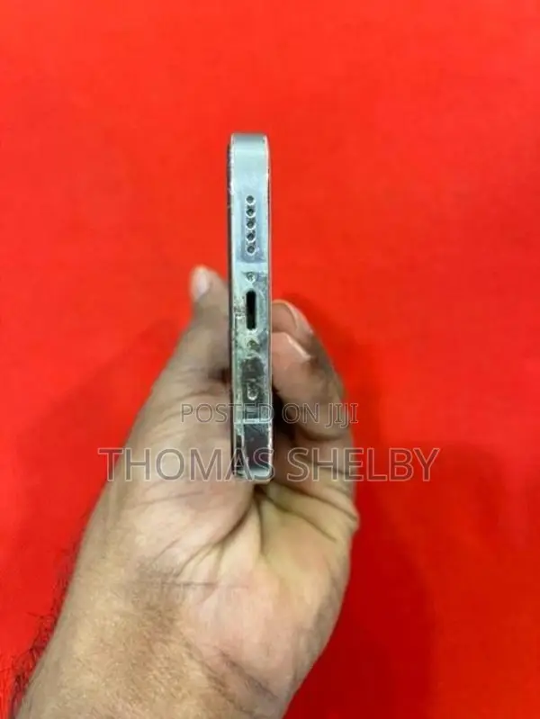 Apple iPhone 12 Pro 256GB (Used)