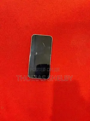 Apple iPhone 12 Pro 256GB (Used)