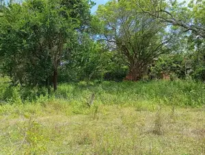 Land for Sale Facing Lunugamwehera - Katharagama Road