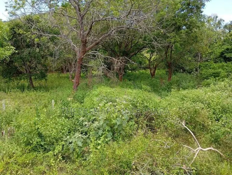 Land for Sale Facing Lunugamwehera - Katharagama Road