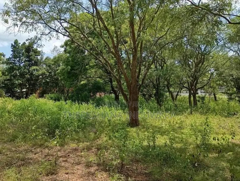 Land for Sale Facing Lunugamwehera - Katharagama Road