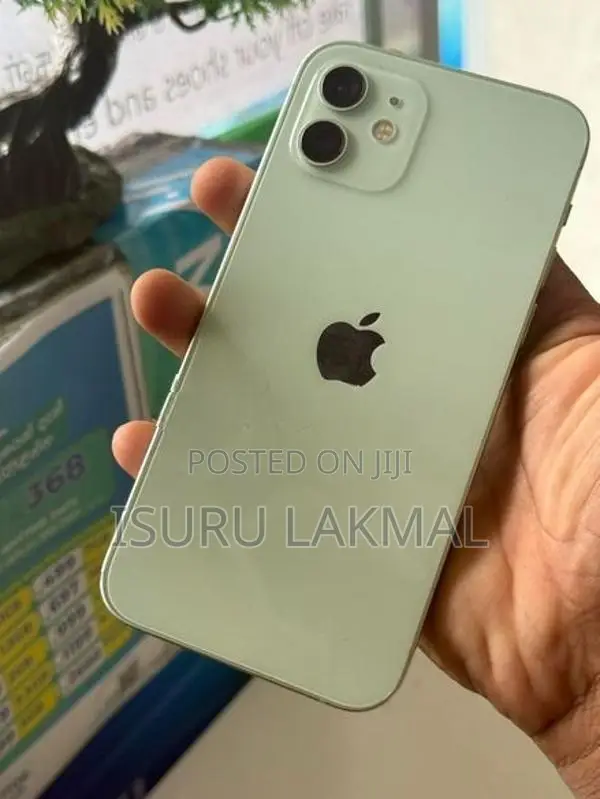 Apple iPhone 12 (Used)