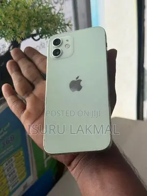 Apple iPhone 12 (Used)
