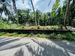 40 Perches Land for Sale in Bandaragama