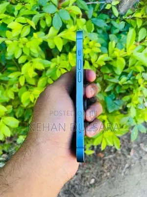 Apple iPhone 13 (Used)