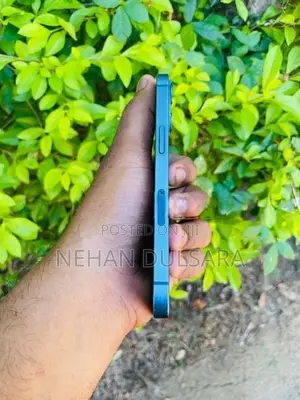 Apple iPhone 13 (Used)