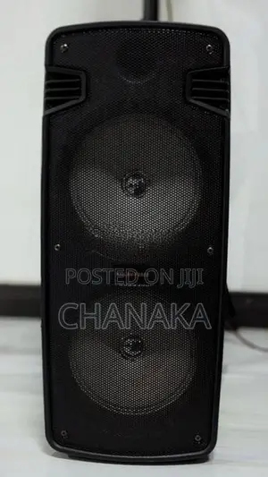 Karaoke Speaker