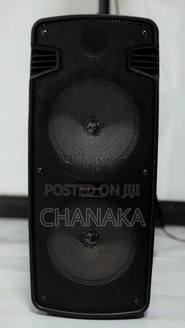 Karaoke Speaker