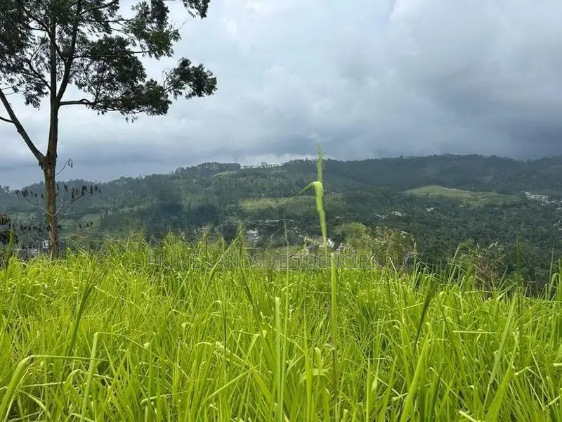 Lands for Sale in Pussellawa