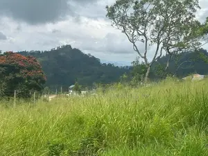 Lands for Sale in Pussellawa