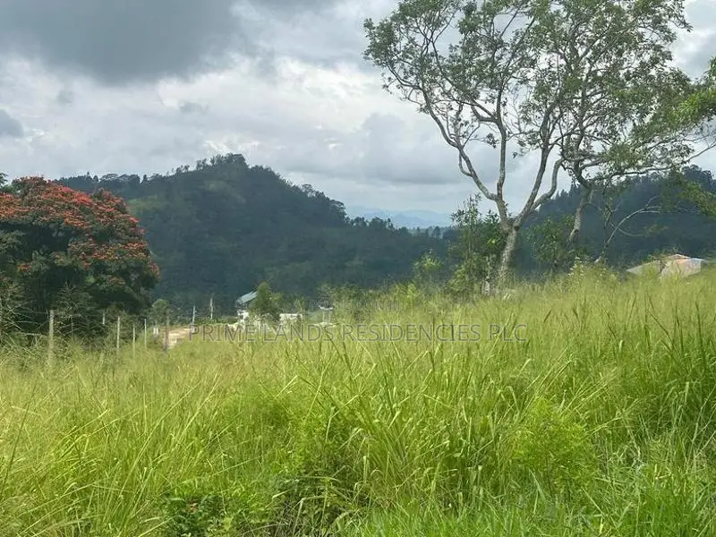 Lands for Sale in Pussellawa