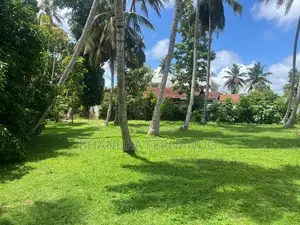 Land for Sale in Wennappuwa Town