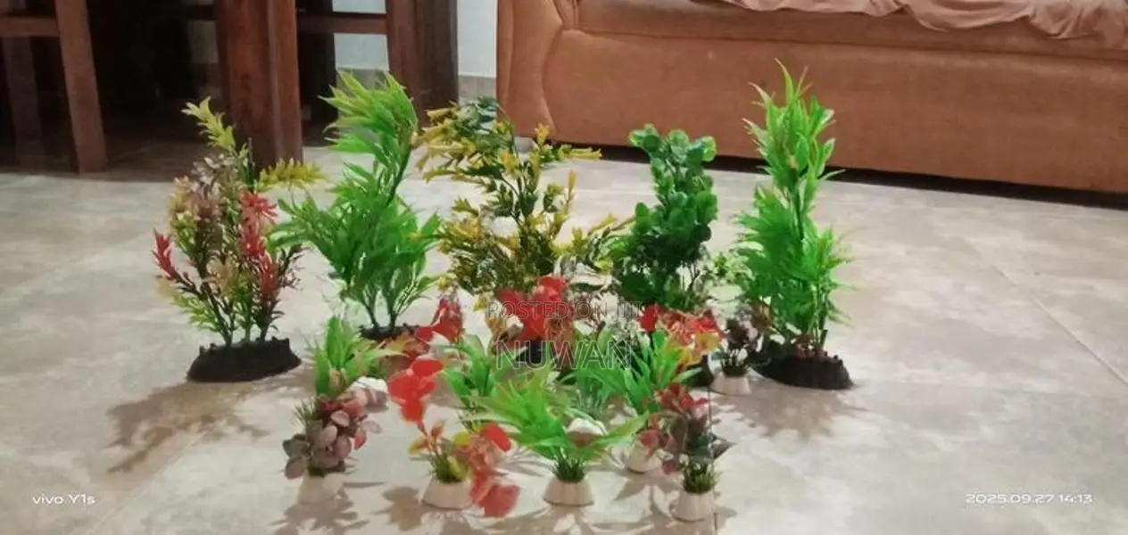 Fish Tank accessories