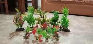 Fish Tank accessories