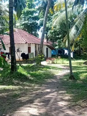 Land for Sale in Wennappuwa