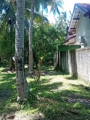 Land for Sale in Wennappuwa