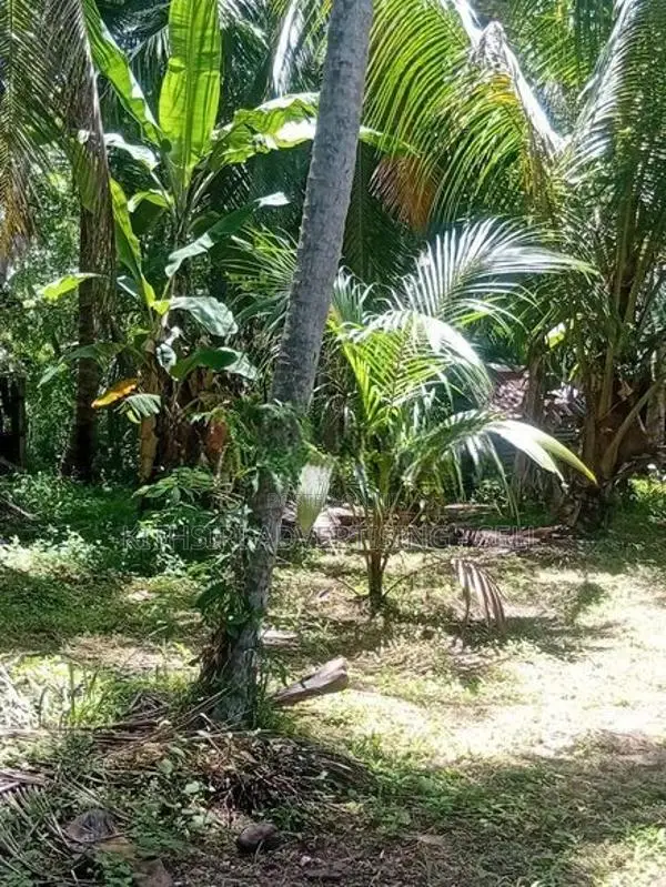 Land for Sale in Wennappuwa