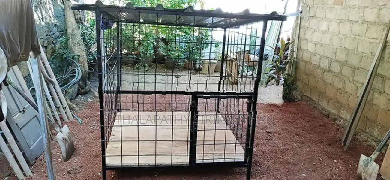 Dog Cage