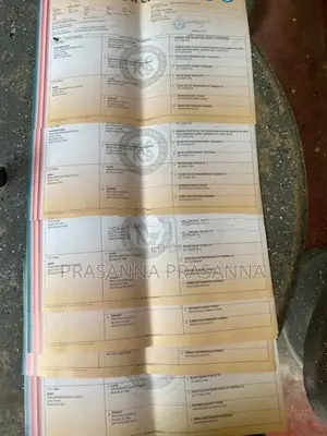 රොට්වයලර් පැටව්