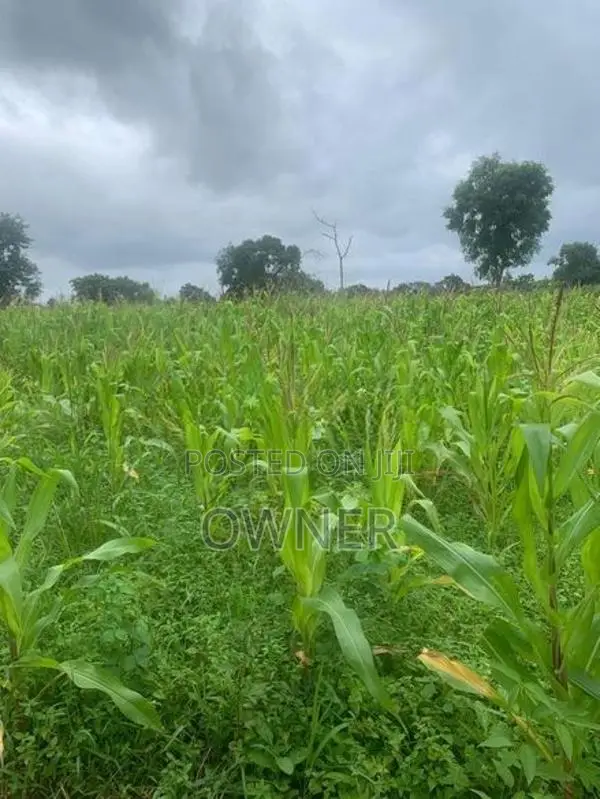 වගාවට සුදුසු ඉඩමක් විකිණීමට ඇත කිව්ලේකඩ