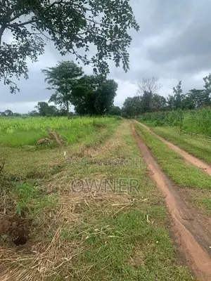 වගාවට සුදුසු ඉඩමක් විකිණීමට ඇත කිව්ලේකඩ