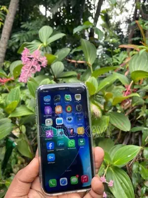 Apple iPhone 11 (Used)