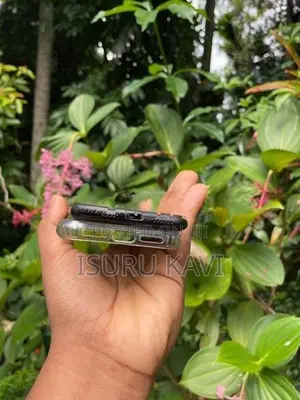 Apple iPhone 11 (Used)