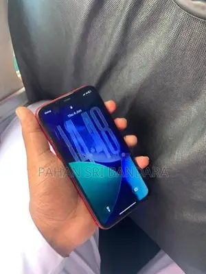 Apple iPhone 11 (Used)