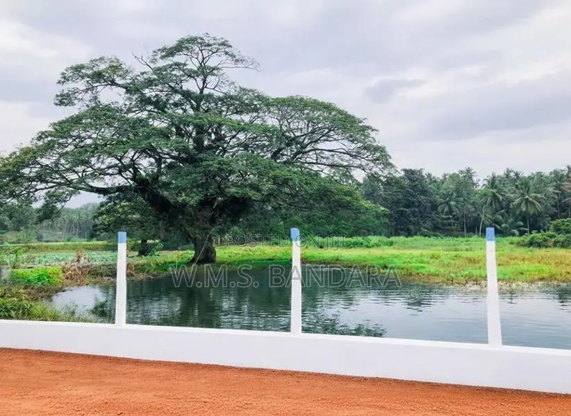 Land for Sale in Malsiripura M04