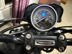 Bajaj Avenger Street 160 2017