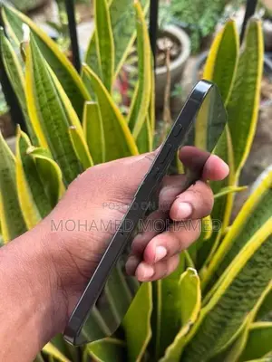 Apple iPhone 16 Pro Max (Used)
