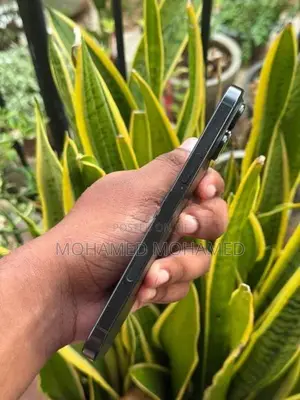 Apple iPhone 16 Pro Max (Used)