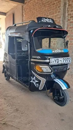 TVS King 2010