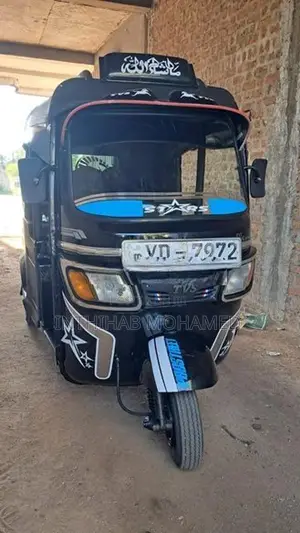 TVS King 2010