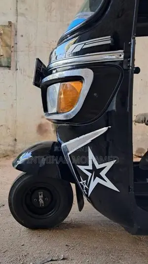TVS King 2010