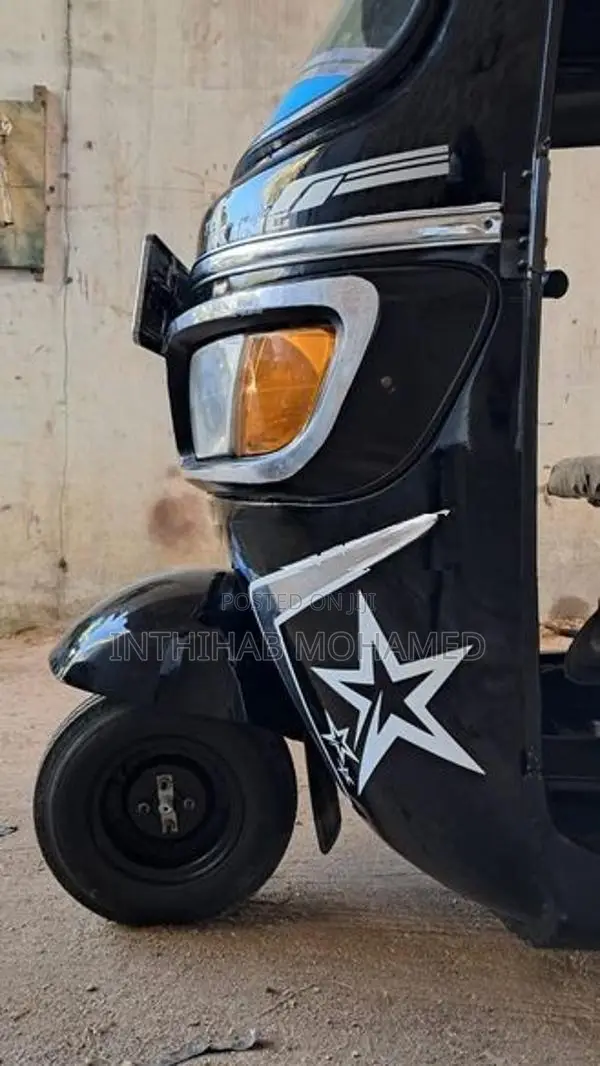 TVS King 2010