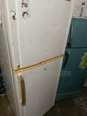 Fridge