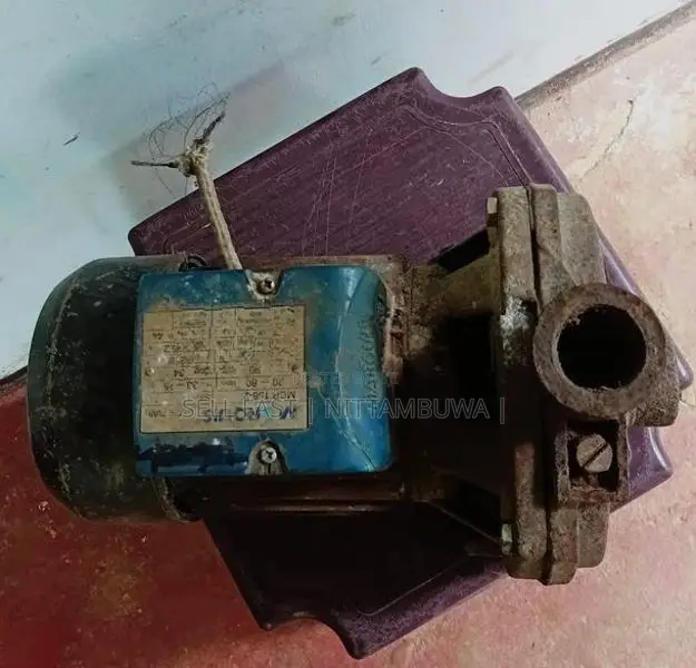 Water Pump | Moter