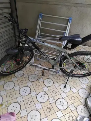 Everstar Bicycle