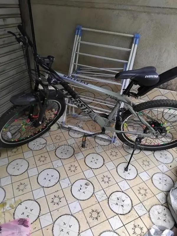 Everstar Bicycle