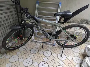 Everstar Bicycle